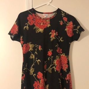 XXS LulaRoe Maria Dress